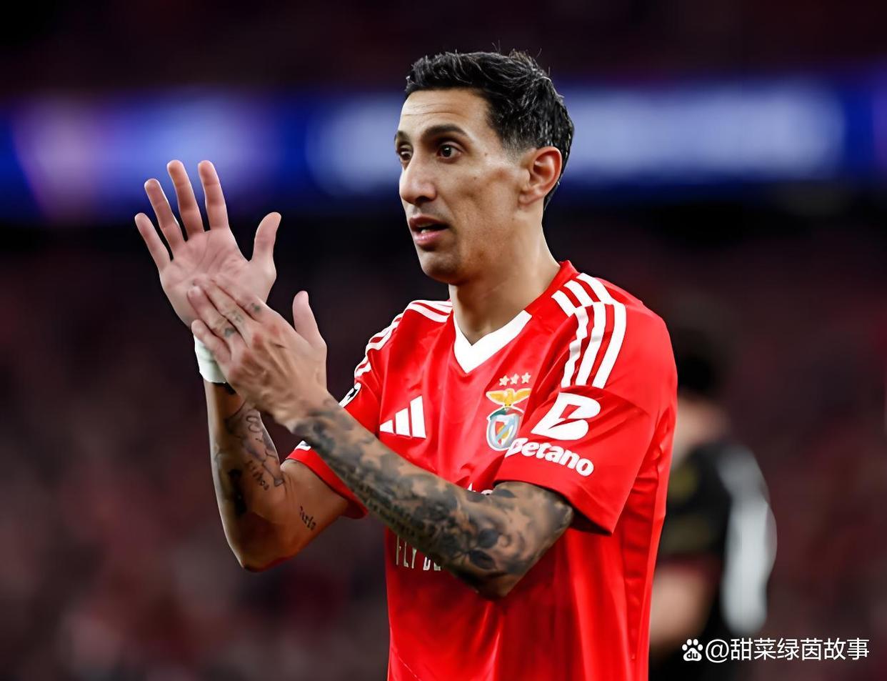 星空体育官方入口-清晨布莱顿调整名单以备葡超，豪取连胜环节打磨，震撼外界，年轻球员得到机会的简单介绍